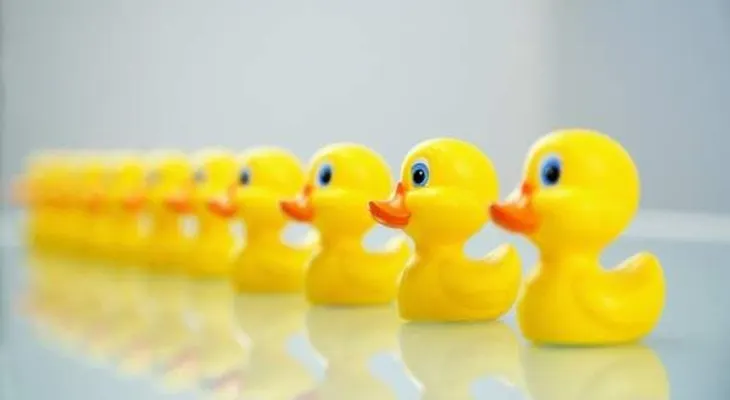 Los juguetes de goma de pato usado en el baño son refugios de gérmenes y un peligro para la salud 
