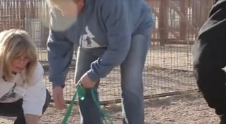 A este preso le confiaron entrenar un perro. Su despedida resultó muy emotiva?(VIDEO)