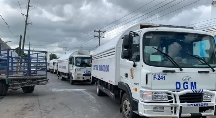 Migración intervendrá fincas y obras que contraten trabajadores indocumentados