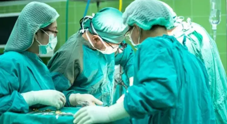 Médicos estadounidenses trasplantan con éxito un riñón de cerdo a un ser humano