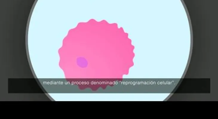 Video: Un diente en el ojo; una extraña operación ayuda a un ciego a recuperar la visión 