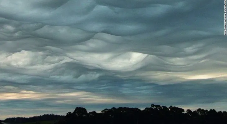 ¡Mira hacia el cielo! Podrías ver un nuevo tipo de nube