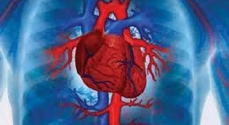 Seis millones sufren de enfermedades cardiovasculares, revela ministra de Salud