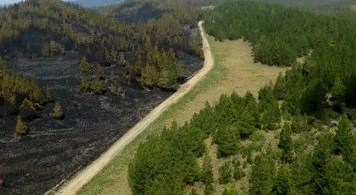 Grupo se opone a aserradero en zona afectada por fuego en Constanza