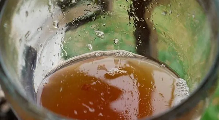 La sidra: Una bebida que reduce el colesterol y triglicéridos, previene infartos y el cáncer de colon; elimina el ácido úrico