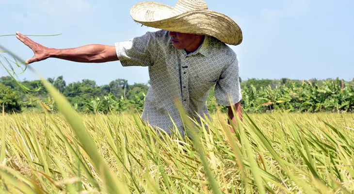 Presidente Danilo Medina felicita a agricultores en su día