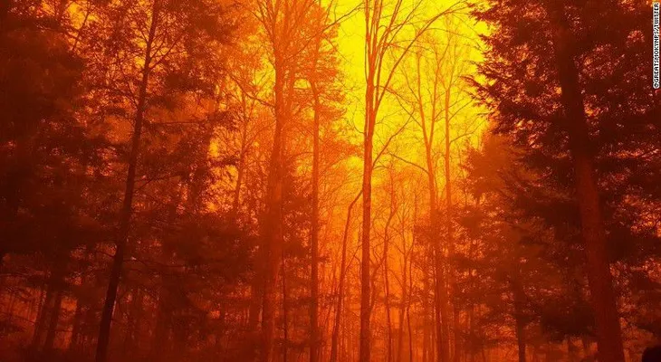 Fotos: el antes y después de los incendios en Gatlinburg