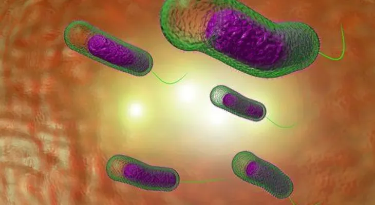 Jugo desintoxicante para liberar el intestino de toxinas
