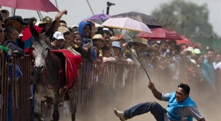 Un pueblo mexicano celebra festival del burro