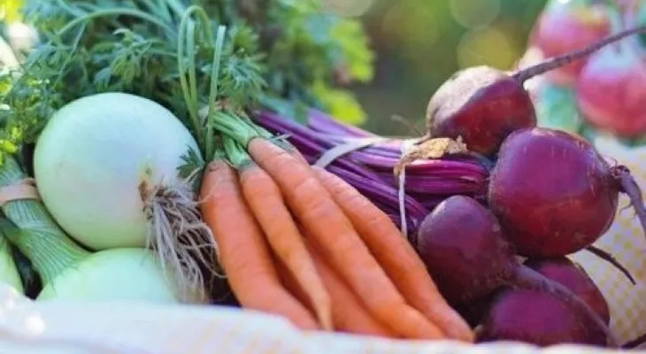 La dieta lipofídica con la que puedes perder 20 kilos
