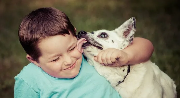 Te has preguntado: ¿Por qué tu perro te lame?