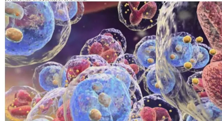 Ibrutinib, tratamiento para la leucemia linfocítica crónica y el linfoma linfocítico de células pequeñas