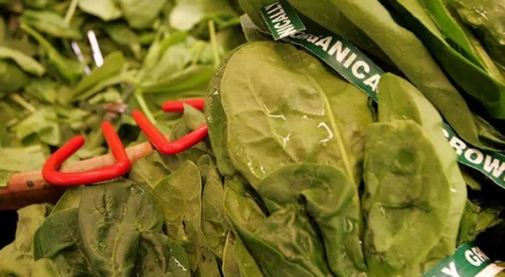 Los 10 mejores alimentos que dan muchos nutrientes