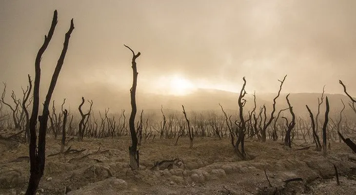 "Nadie se esperaba este salto": La NASA advierte de un récord "alarmante"