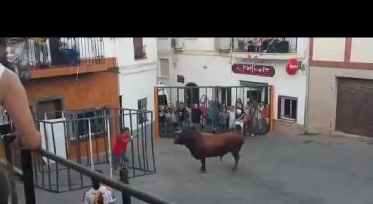 Lo provoca y recibe un brutal ataque (VIDEO)