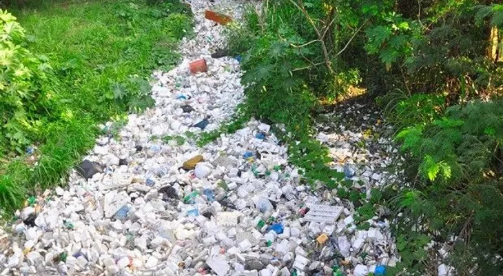 Cañadas de casco urbano arropadas por la basura