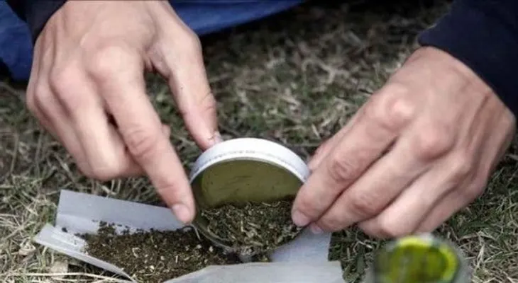 Uruguay autoriza el uso de marihuana para la investigación y la medicina