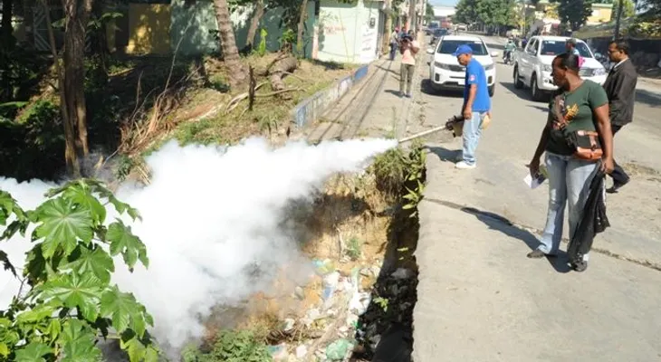 Los países con dengue son más vulnerables al chikunguya
