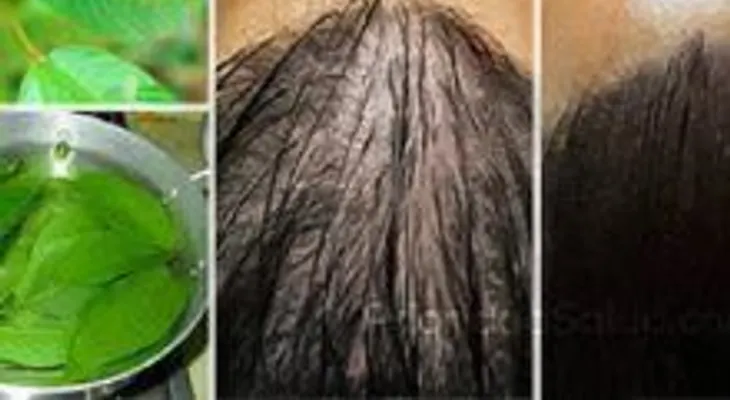 Los médicos sorprendidos con esta hoja hace creer el cabello como loco 