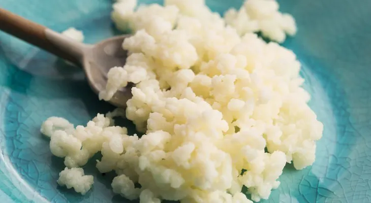 Conoce los beneficios del kéfir para el cuerpo y cómo ingerirlo