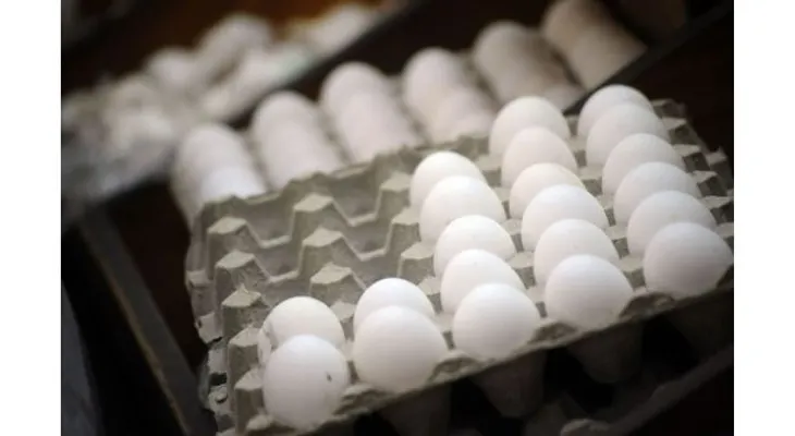 Retirará Bachoco productos en EU por posible contaminación con metal