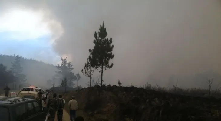 Medio Ambiente asegura fue totalmente controlado fuego en Valle Nuevo