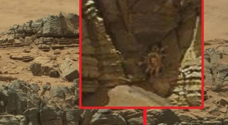 La NASA publica la foto de un gigantesco cangrejo espacial en Marte