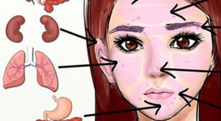 Lo que tu rostro dice sobre tu mal funcionamiento en tus organos 
