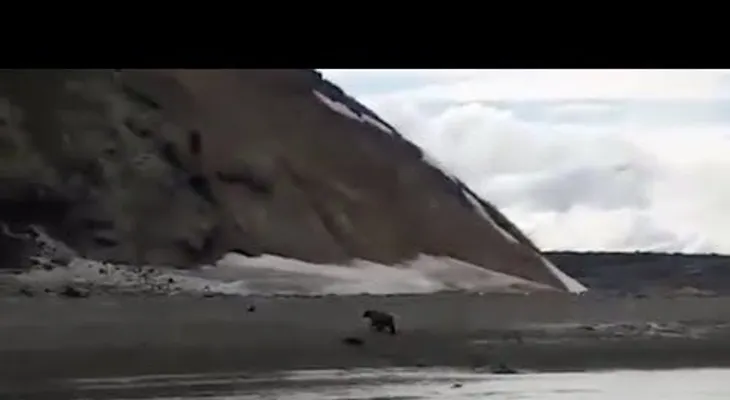 Pescadores filman los últimos minutos de vida de su amigo, perseguido por un oso
