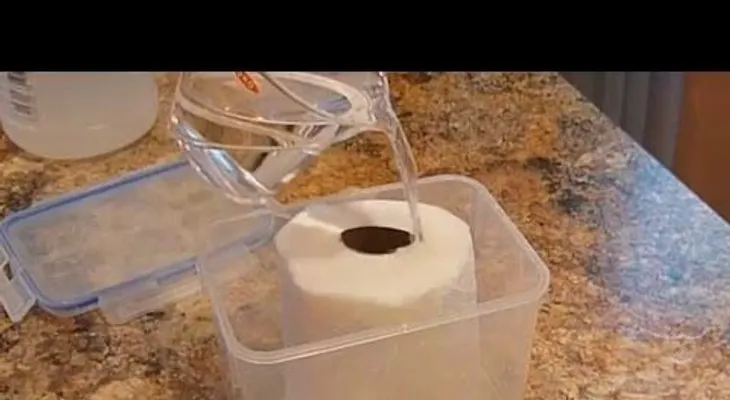 Remoja papel higiénico con vinagre y será la solución de casi todos tus problemas en la casa 