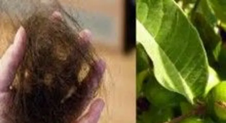 Esta hoja te hace crecer el cabello de manera rapidísima 