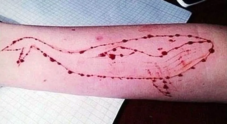 "La ballena azul", el siniestro juego suicida ya llegó a Sudamérica