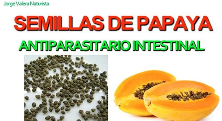 Tratamiento de cirrosis con plantas medicinales