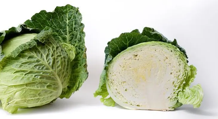 Un secreto revelado: Adiós al cáncer, estreñimiento y cientos de enfermedades con el repollo 