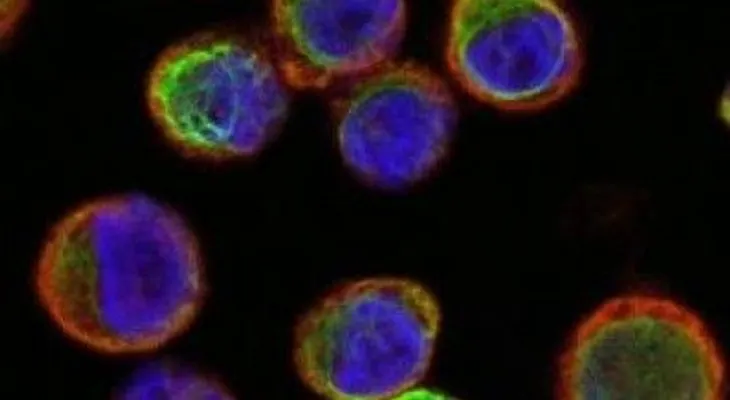 La paternidad podría animar pacientes de cáncer a buscar más tratamiento