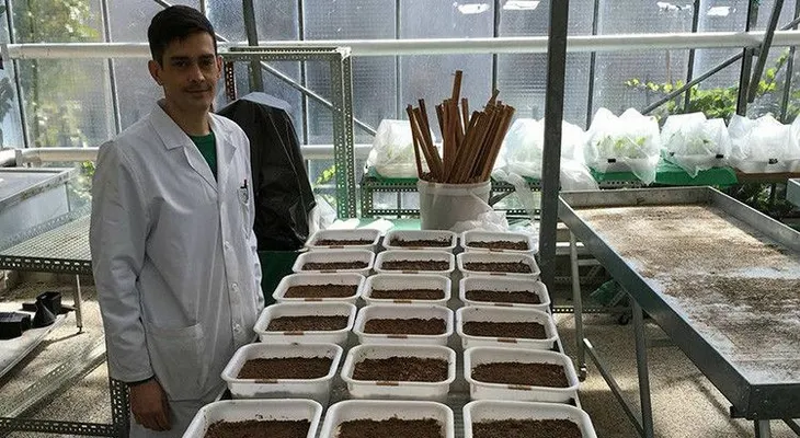 Fuga de talentos: Tras ser rechazado en España, un joven biólogo recibe una beca en Princeton