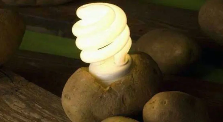 Aprende a iluminar una habitación por 40 días con 1 sola papa