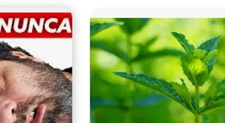 La planta que mejora tu sueño y la tienes en tu propia casa