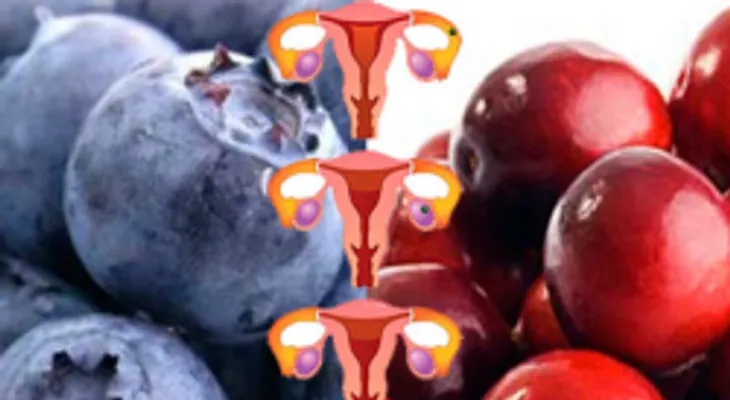 Esta maravillosa fruta ayuda a sanar el cáncer de ovarios