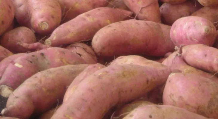 Evita los dolores musculares con el consumo de este excelente alimento 