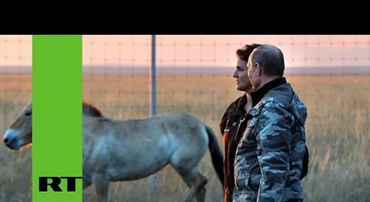 Putin visita reserva ecológica en los Urales y libera a 6 caballos salvajes (VIDEO)