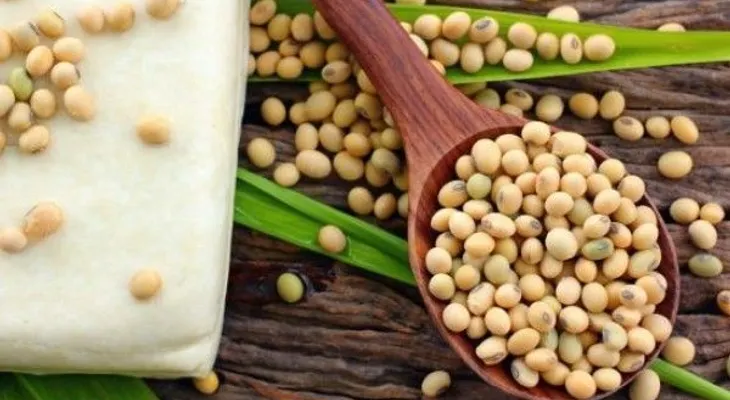 5 alimentos modificados que consumes todos los días