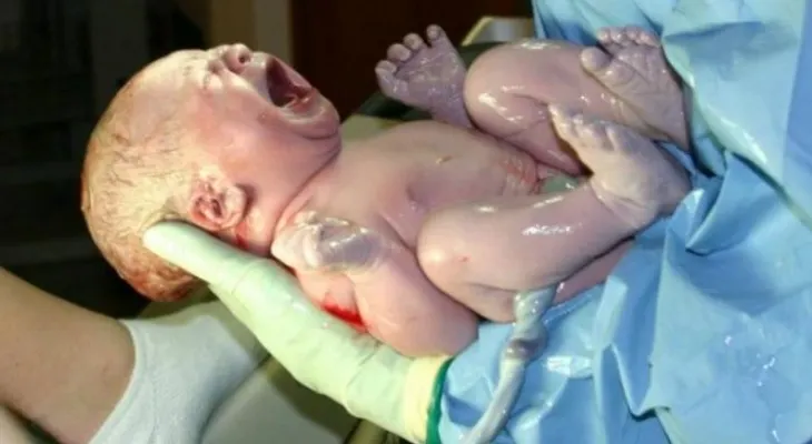 ¿Mito o realidad? Los beneficios de comer la placenta después del parto