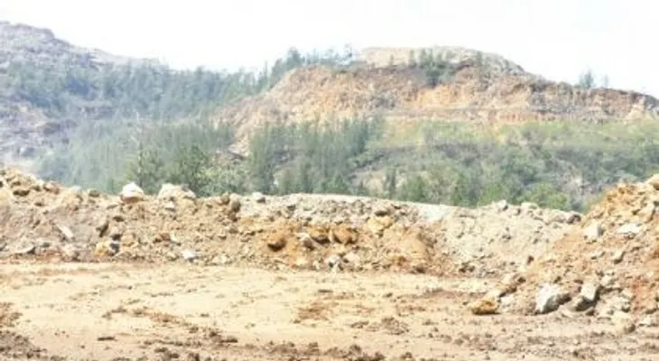 Defensoría del Pueblo pide a Falcondo reforestar lomas Peguera y Ortega 