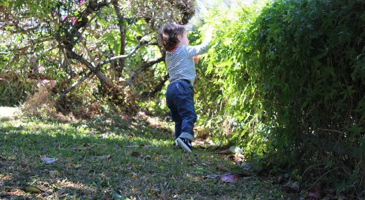 Los niños más expuestos a la naturaleza tienen mejor salud mental de adultos