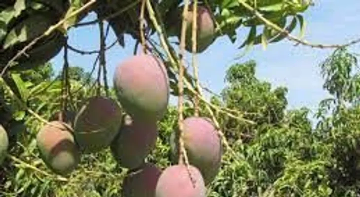 Riña por un mango deja un muerto (Neu Guzmán) y un herido; ingerían Clerén