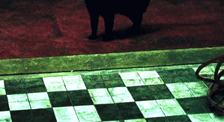 La ciencia explica por qué ciertas personas experimentan episodios de déjà vu 