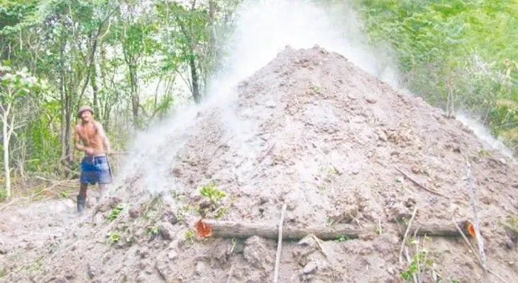 Piden mayor atención a la frontera ante la deforestación