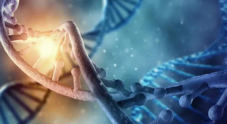 Investigadores cuantifican células inmunitarias asociadas a futuro riesgo de cáncer de mama