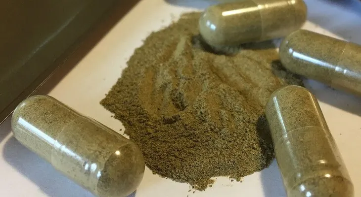Al menos 91 personas habrían muerto en EEUU por consumo de suplemento natural Kratom 